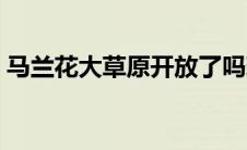 马兰花大草原开放了吗现在（马兰花大草原）