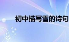 初中描写雪的诗句（描写雪的诗句）