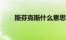斯芬克斯什么意思（斯芬克斯是指）