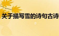 关于描写雪的诗句古诗大全（描述雪的诗词）