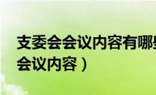 支委会会议内容有哪些1002无标题（支委会会议内容）