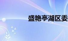 盛艳亭湖区委书记（盛艳）