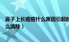 鼻子上长痘痘什么原因引起的（鼻子上长痘痘是什么原因怎么消除）