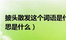 披头散发这个词语是什么意思（披头散发的意思是什么）