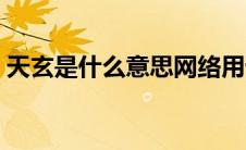 天玄是什么意思网络用语（天玄是什么意思）