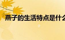 燕子的生活特点是什么（燕子的生活习性）