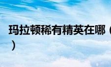 玛拉顿稀有精英在哪（玛拉顿幽灵菇采集路线）