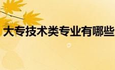 大专技术类专业有哪些（技术类专业有哪些）