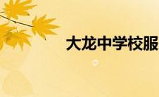 大龙中学校服（大龙中学）