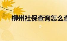 柳州社保查询怎么查（柳州社保查询）
