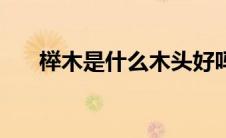 榉木是什么木头好吗（榉木是什么木）