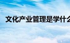 文化产业管理是学什么的（文化产业管理）