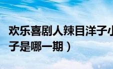 欢乐喜剧人辣目洋子小品（欢乐喜剧人辣目洋子是哪一期）