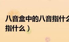 八音盒中的八音指什么意思（八音盒中的八音指什么）
