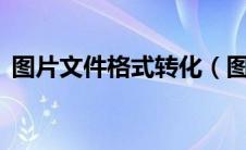 图片文件格式转化（图片文件格式转换jpg）
