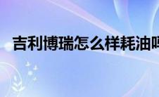 吉利博瑞怎么样耗油吗（吉利博瑞怎么样）