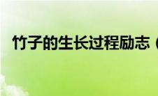 竹子的生长过程励志（竹子生长过程励志）