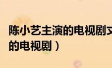 陈小艺主演的电视剧丈夫抢银行（陈小艺主演的电视剧）