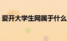爱开大学生网属于什么级别（爱开大学生网）