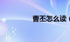 曹丕怎么读（丕怎么读）
