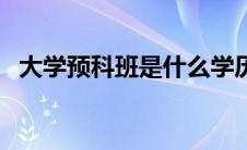 大学预科班是什么学历（大学预科班学校）