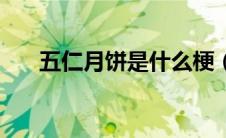 五仁月饼是什么梗（五仁月饼什么梗）