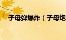 子母弹爆炸（子母炮具有什么样的规格）