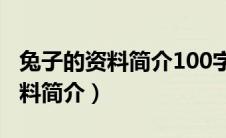 兔子的资料简介100字左右说明文（兔子的资料简介）