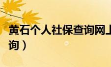 黄石个人社保查询网上查询（黄石个人社保查询）