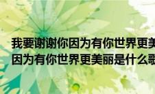 我要谢谢你因为有你世界更美丽是什么歌视频（我要谢谢你因为有你世界更美丽是什么歌）
