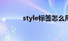 style标签怎么用（style标签）
