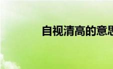 自视清高的意思（自视清高）