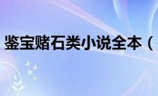 鉴宝赌石类小说全本（鉴宝赌石类小说大全）