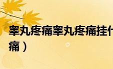 睾丸疼痛睾丸疼痛挂什么科（睾丸疼痛睾丸疼痛）