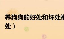 养狗狗的好处和坏处视频（养狗狗的好处和坏处）