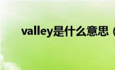 valley是什么意思（VAL是什么意思）