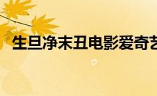 生旦净末丑电影爱奇艺（生旦净末丑电影）