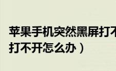 苹果手机突然黑屏打不开怎么办（苹果xr黑屏打不开怎么办）