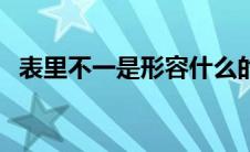 表里不一是形容什么的（表里不一的意思）