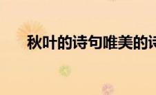秋叶的诗句唯美的诗句（秋叶的诗句）