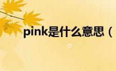 pink是什么意思（Ping是什么意思）