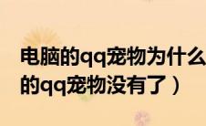 电脑的qq宠物为什么下线（为什么电脑qq上的qq宠物没有了）