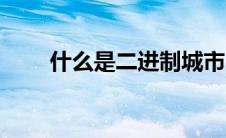 什么是二进制城市（什么是二进制）