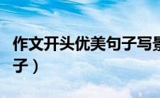 作文开头优美句子写景（时间作文开头优美句子）