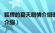 狐狸的夏天剧情介绍谁演的（狐狸的夏天剧情介绍）