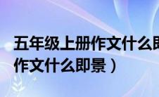 五年级上册作文什么即景300字（五年级上册作文什么即景）