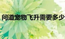 问道宠物飞升需要多少道行（问道宠物飞升）