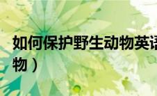 如何保护野生动物英语建议（如何保护野生动物）