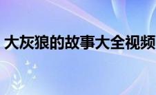 大灰狼的故事大全视频（大灰狼的故事全集）