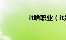 it啥职业（it是什么职业）